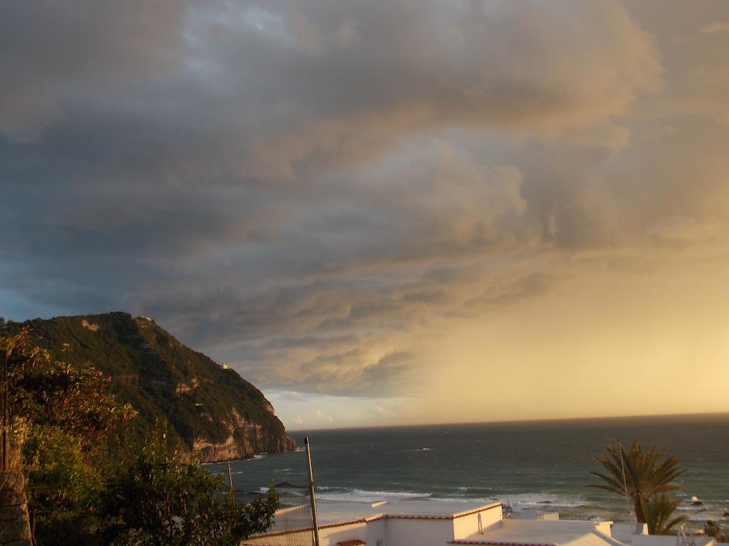 Villa Loreta Forio di Ischia Extérieur photo