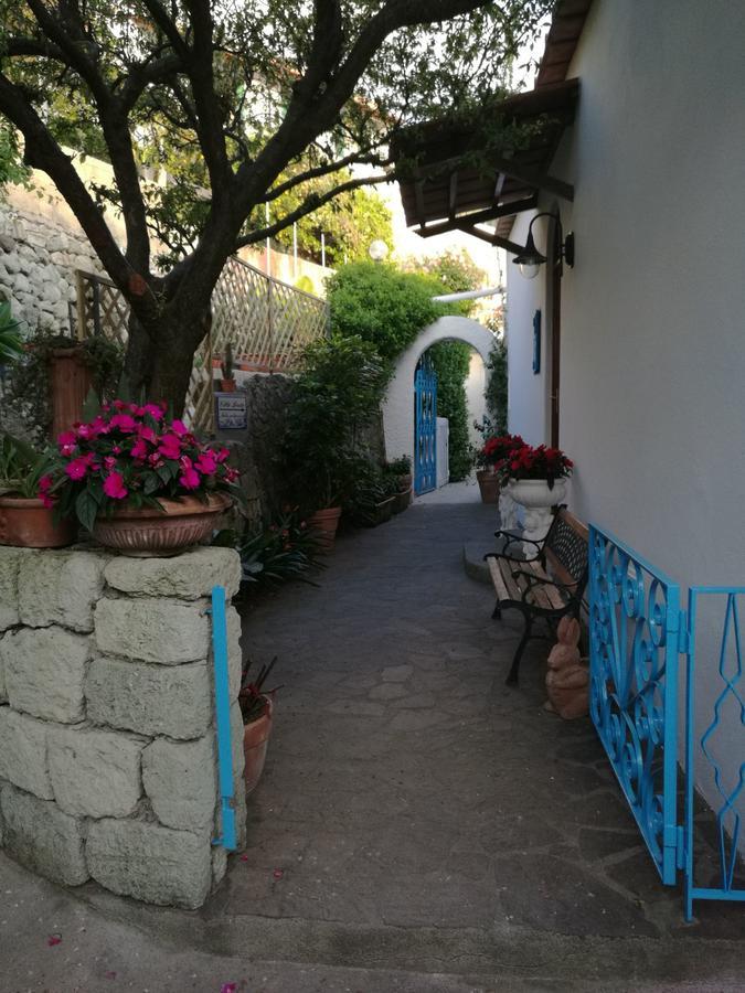 Villa Loreta Forio di Ischia Extérieur photo