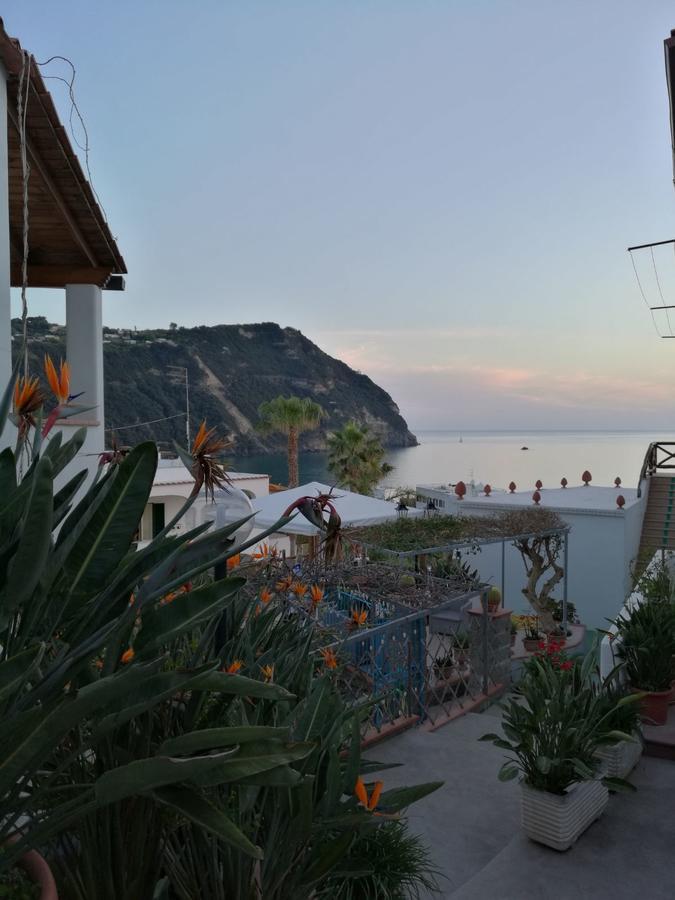 Villa Loreta Forio di Ischia Extérieur photo